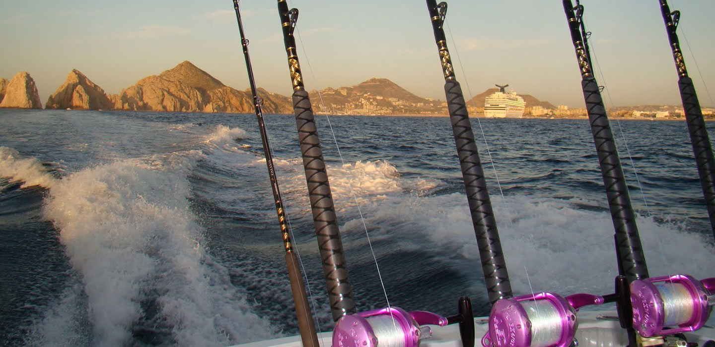 Activities in Los Cabos